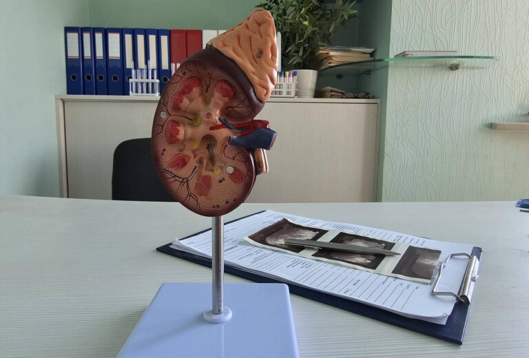 Jak rozpoznać pierwsze objawy choroby nerek?